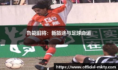 鲁能旧将：新旅途与足球命运